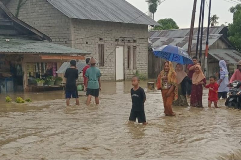 BPBD Sulteng Catat 552 Rumah Terkena Banjir di Balaesang dan Sirenja